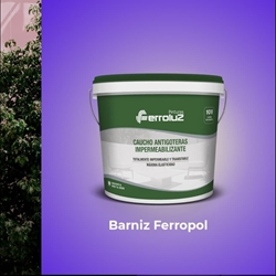 BARNIZ FERROPOL AL AGUA - Imagen 1