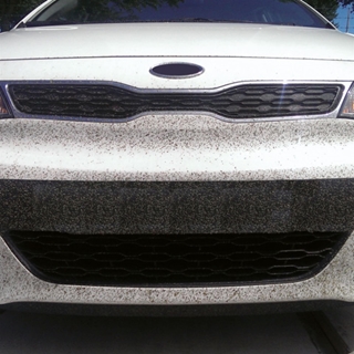 ELIMINA INSECTOS - Imagen 2