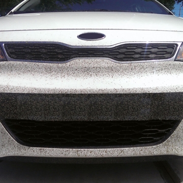 ELIMINA INSECTOS - Imagen 2