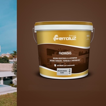 EMULSION UNIVERSAL FERROLUZ - Imagen 1