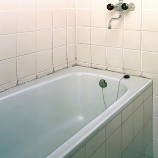 LIMPIADOR DE MOHO HG - Imagen 2