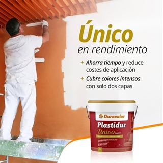 PINTURA VINÍLICA PLASTIDUR MATE UNICO - Imagen 1